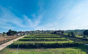 ไร่รักดอย ภูทับเบิก